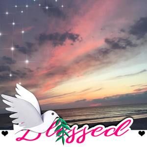 Meet your Posher, Cynthia